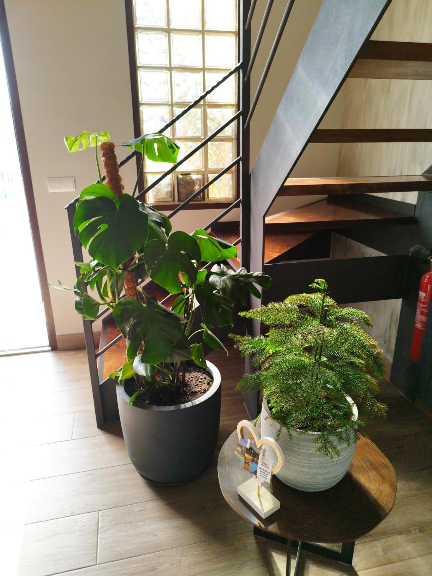 Mi Lugar Favorito *